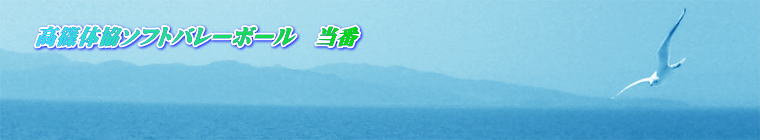 ���̋��\�t�g�o���[�{�[���@����