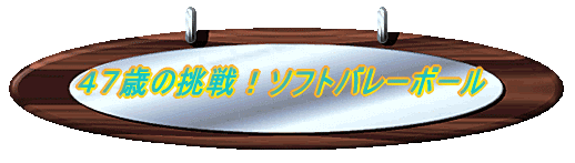 �S�V�΂̒���I�\�t�g�o���[�{�[�� 